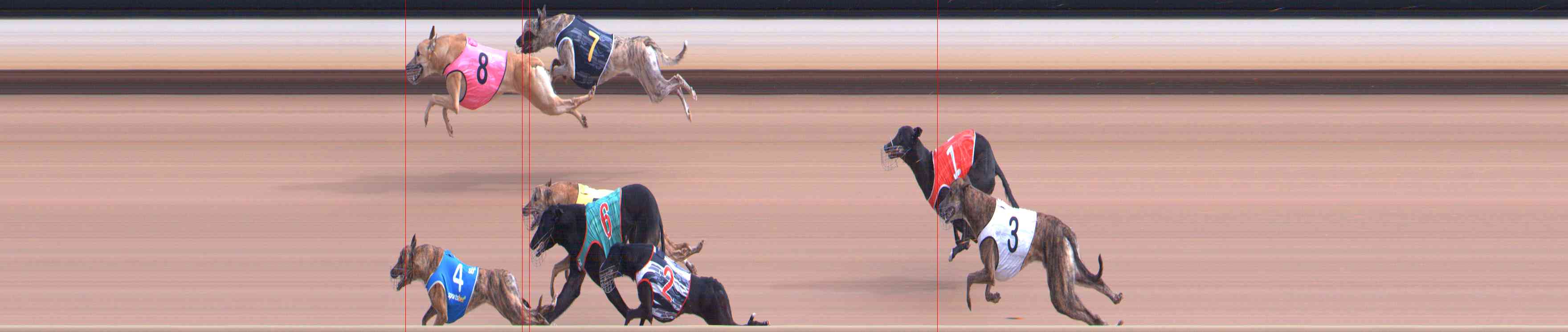 Photo finish for Healesville Race 1