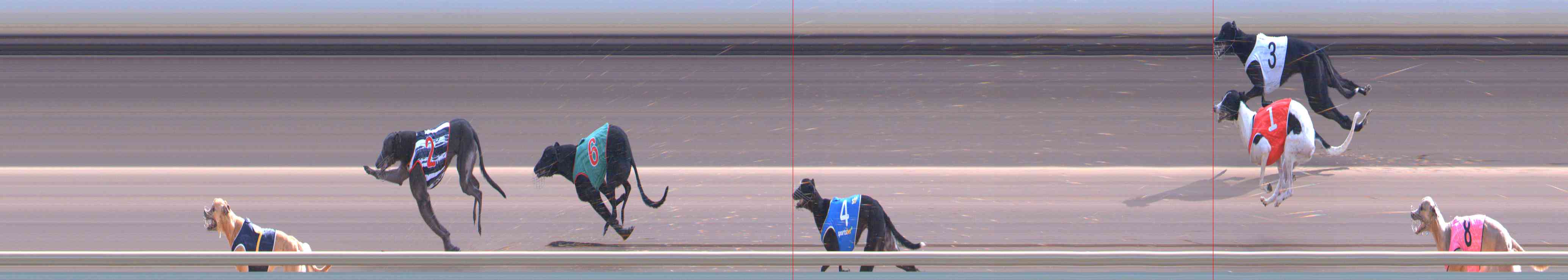 Photo finish for Healesville Race 10