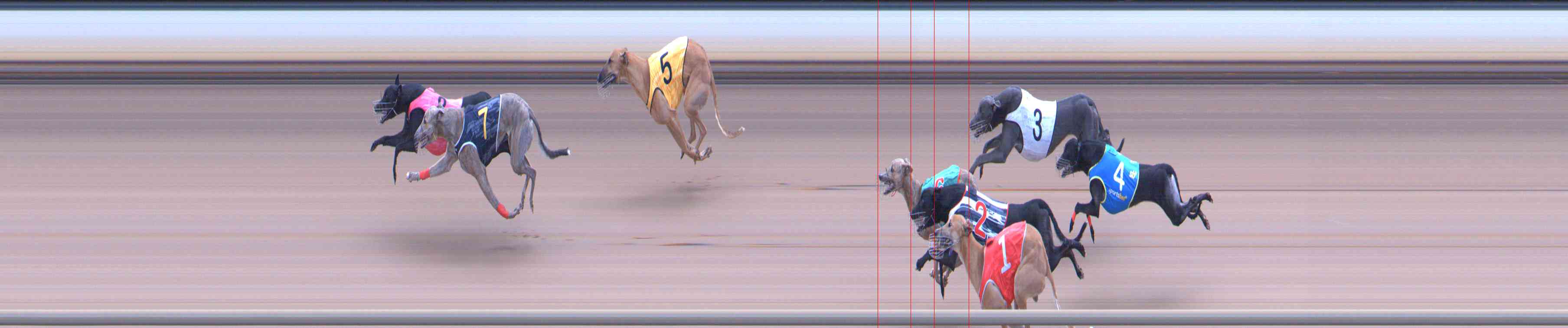 Photo finish for Healesville Race 11