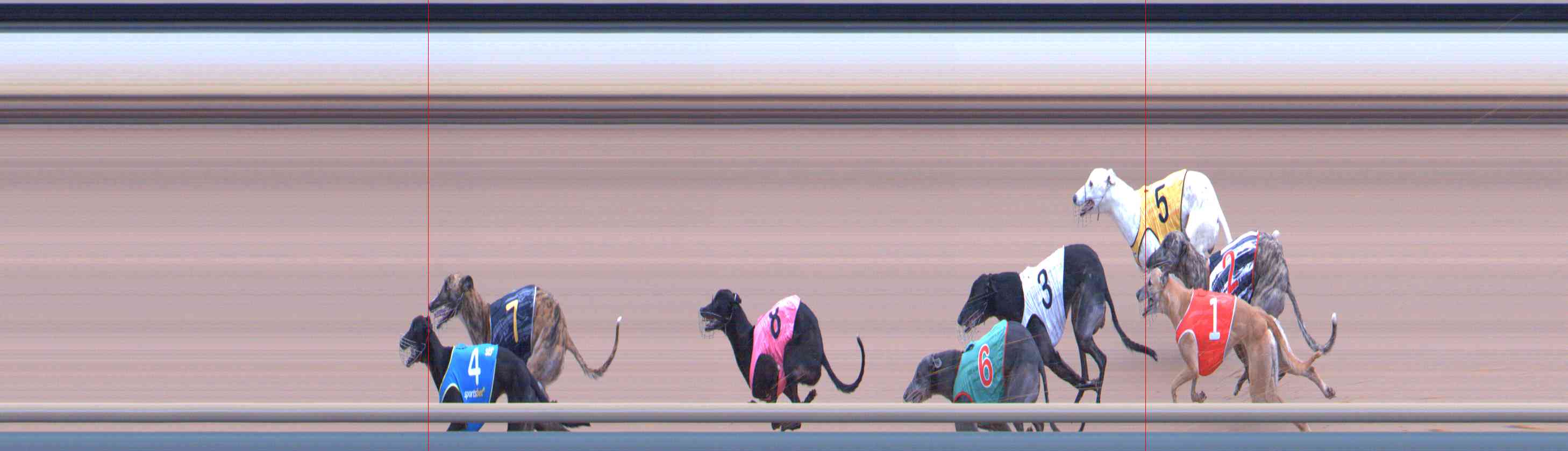 Photo finish for Healesville Race 12