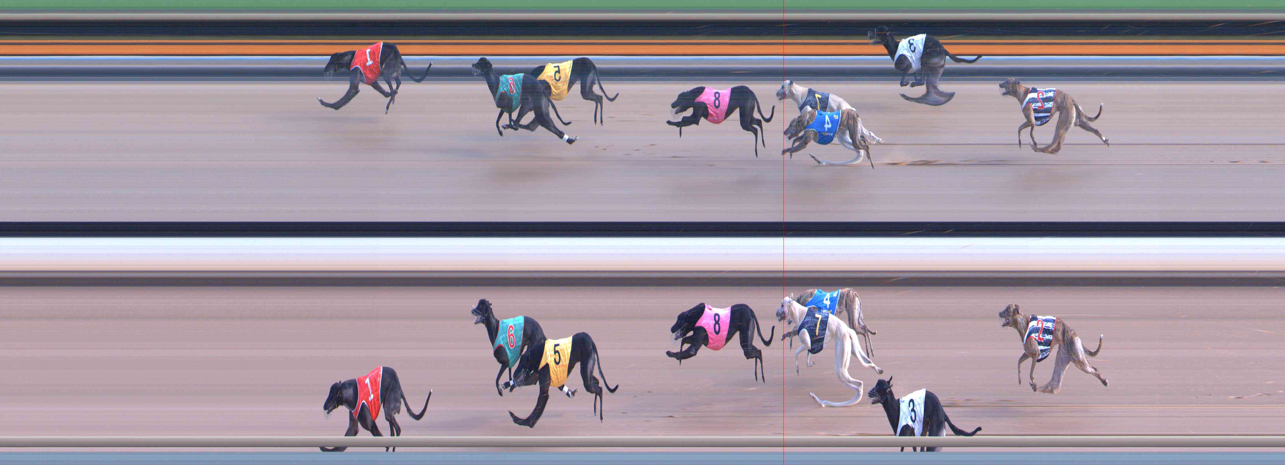 Photo finish for Healesville Race 3
