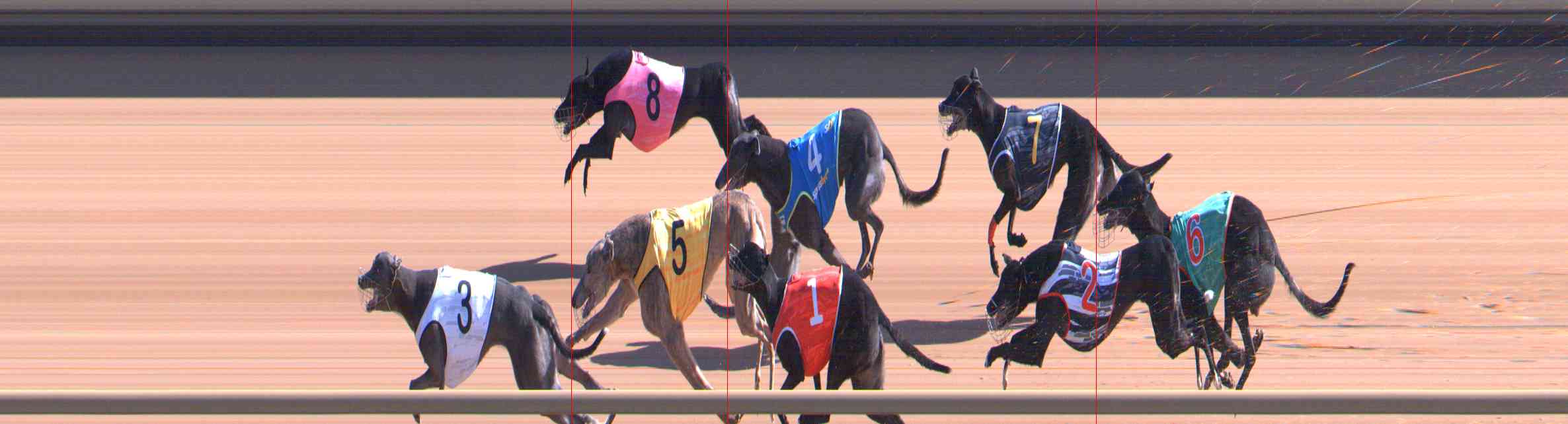 Photo finish for Healesville Race 4