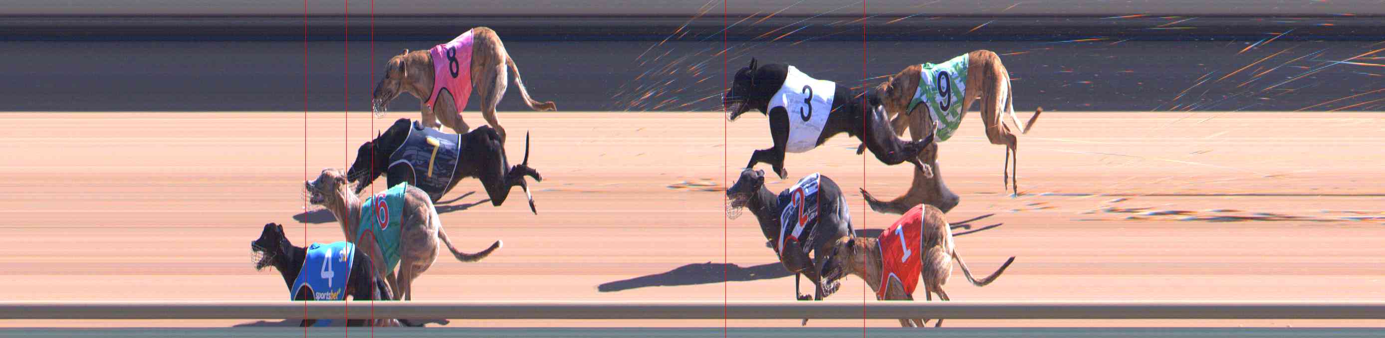Photo finish for Healesville Race 6