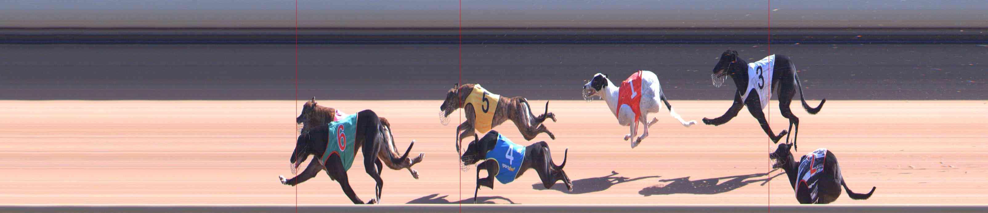 Photo finish for Healesville Race 7