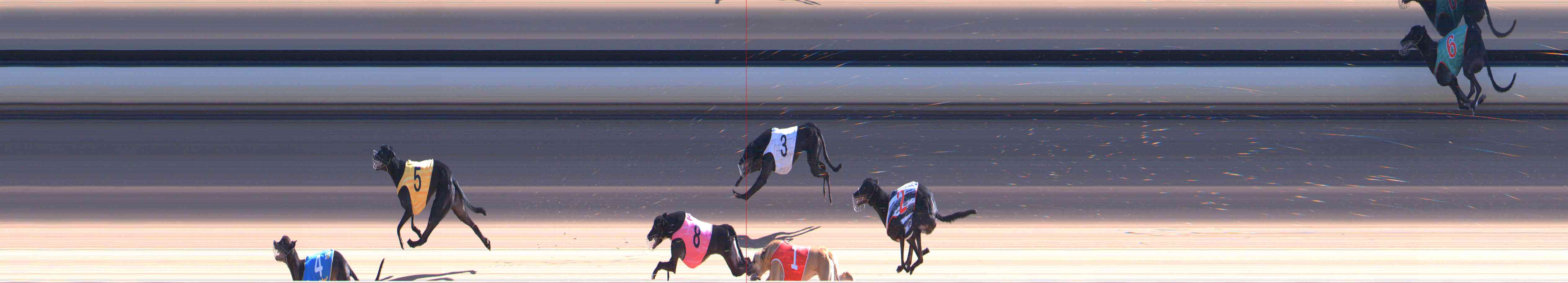 Photo finish for Healesville Race 8