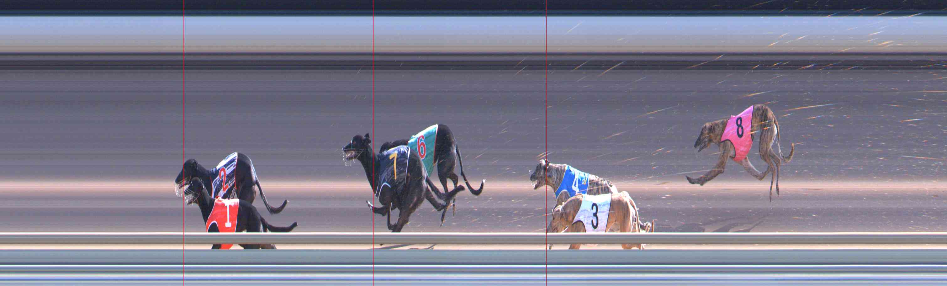 Photo finish for Healesville Race 9
