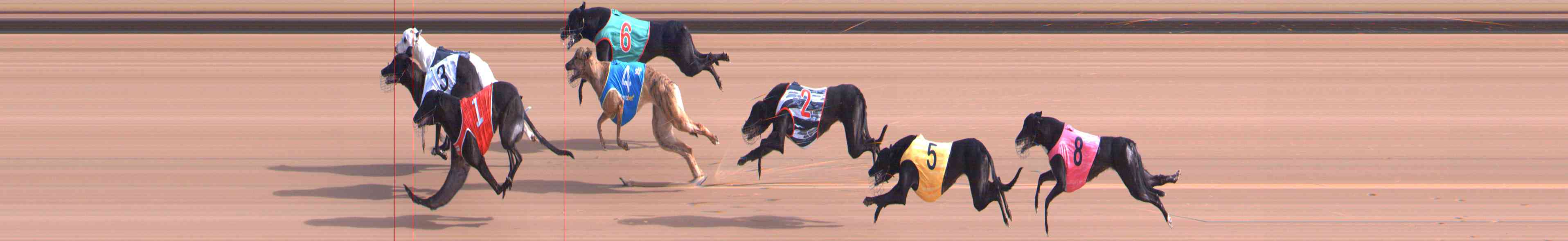 Photo finish for Healesville Race 1