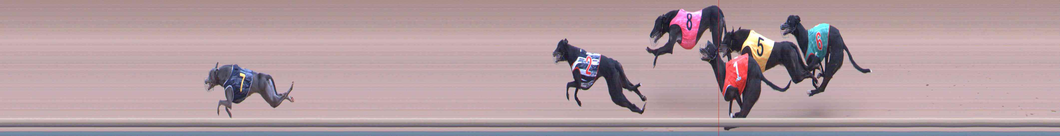 Photo finish for Healesville Race 10