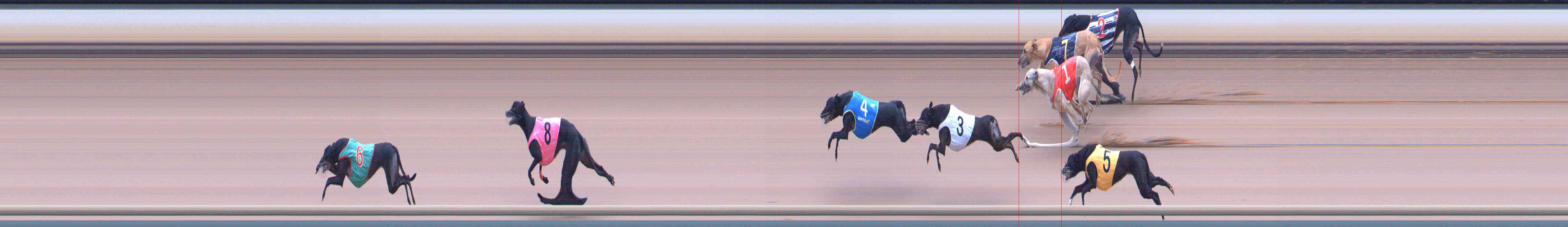 Photo finish for Healesville Race 11