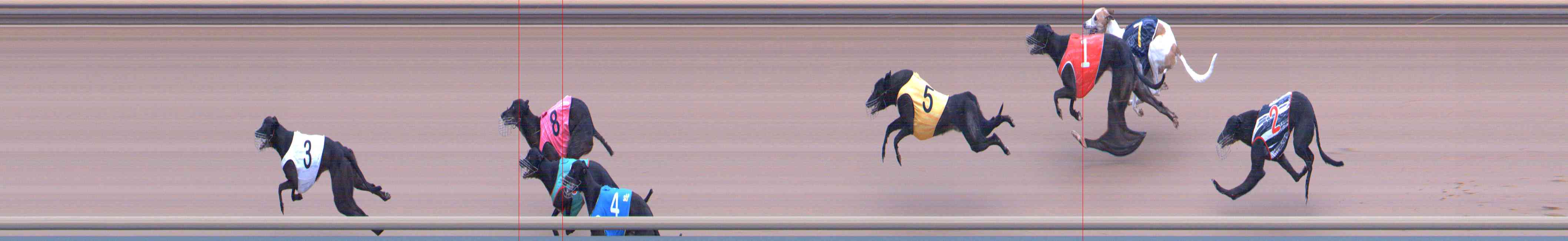 Photo finish for Healesville Race 12