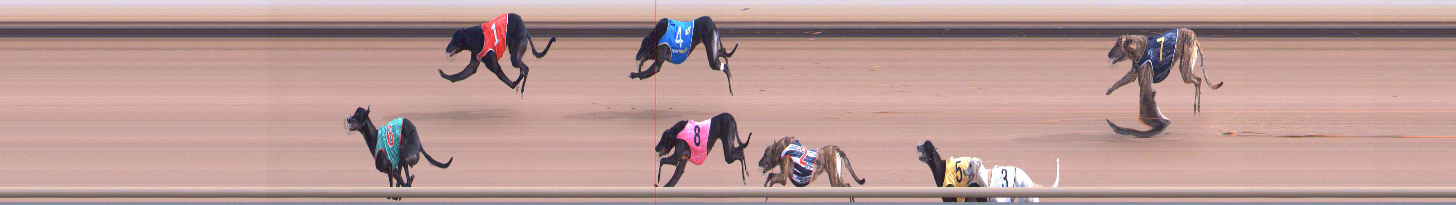 Photo finish for Healesville Race 2