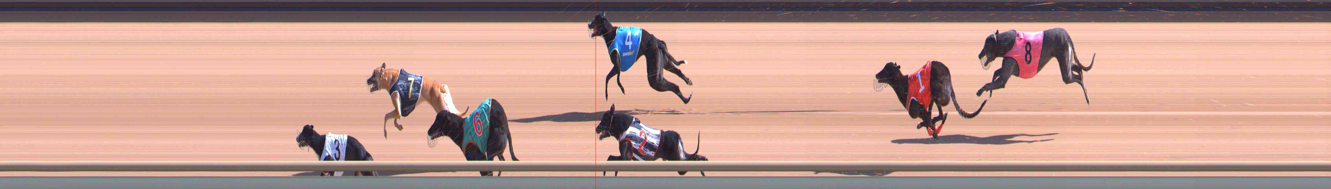 Photo finish for Healesville Race 3