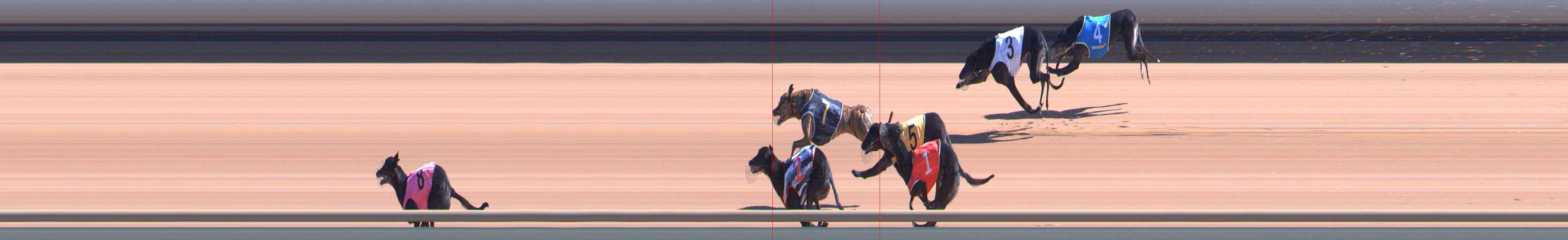 Photo finish for Healesville Race 4