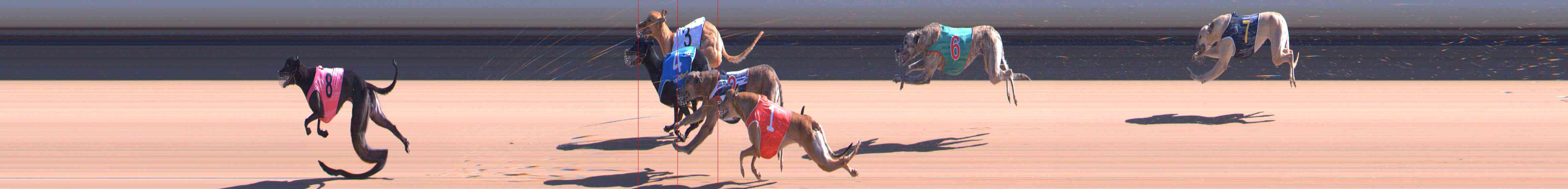 Photo finish for Healesville Race 5