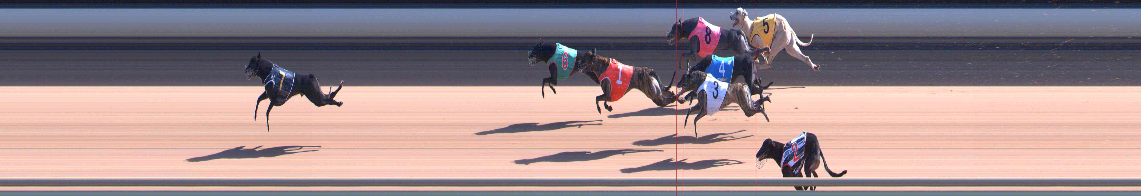 Photo finish for Healesville Race 6