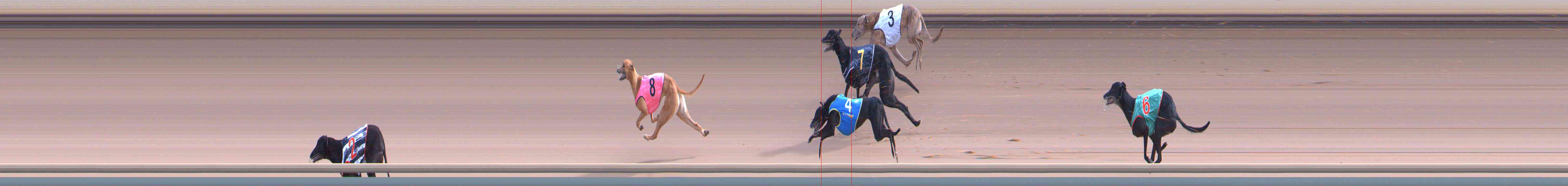 Photo finish for Healesville Race 8
