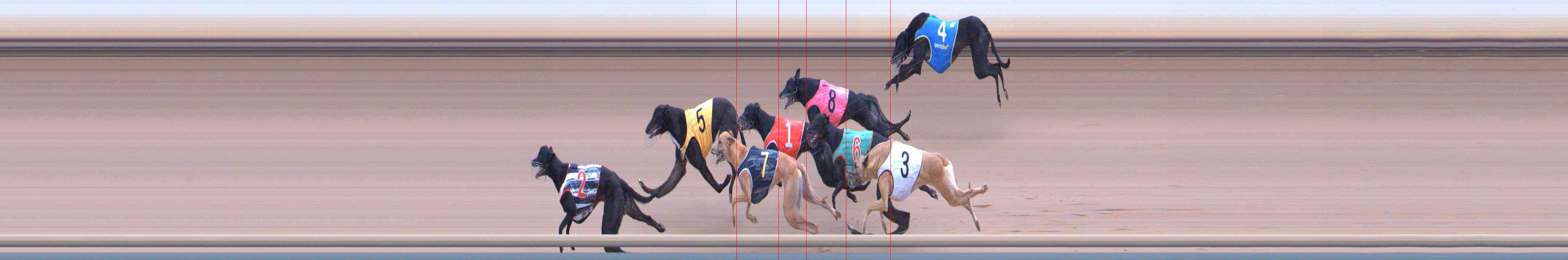 Photo finish for Healesville Race 9