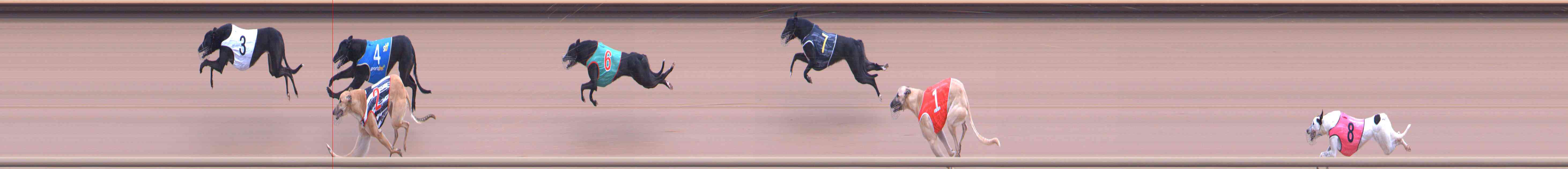 Photo finish for Healesville Race 1