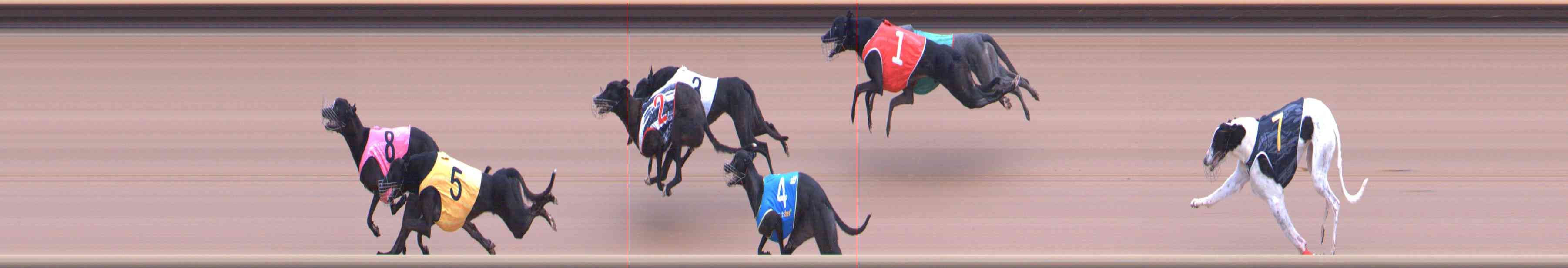 Photo finish for Healesville Race 2