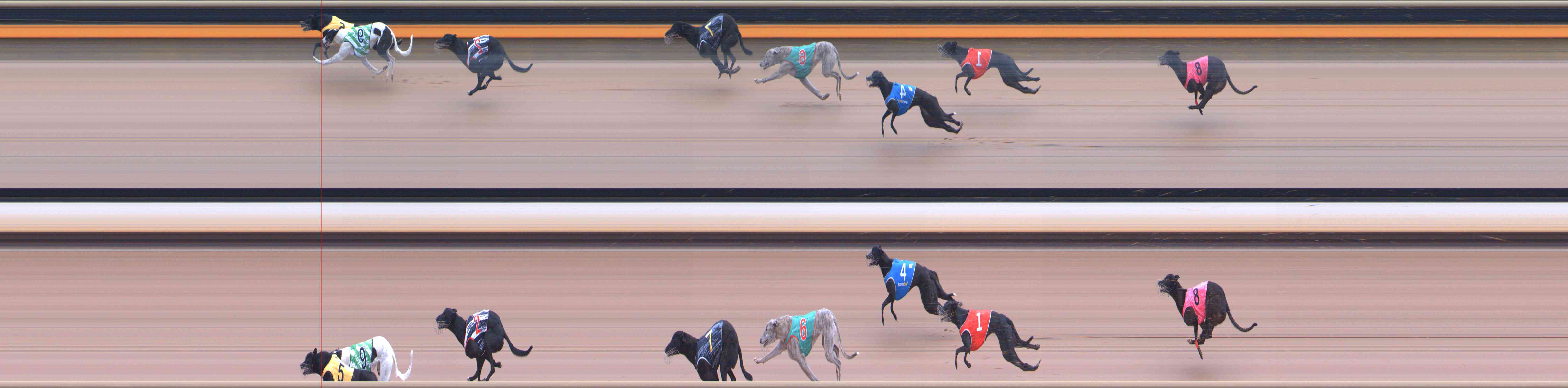 Photo finish for Healesville Race 3