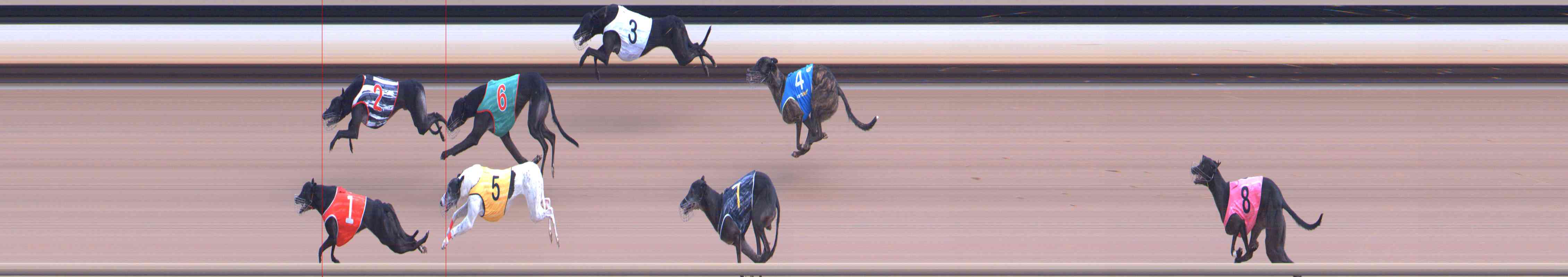 Photo finish for Healesville Race 4