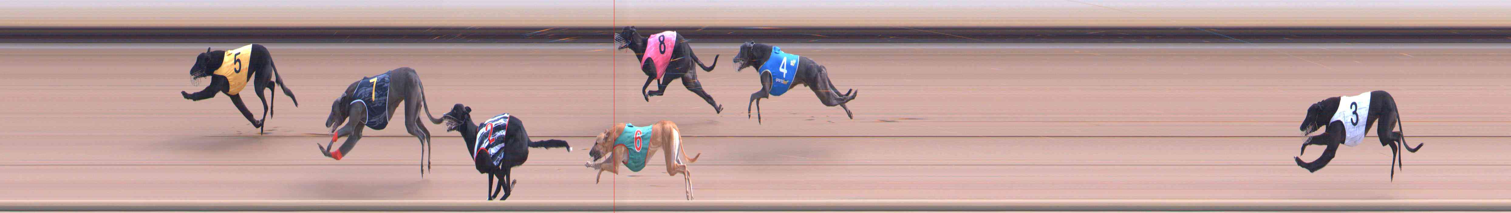 Photo finish for Healesville Race 5