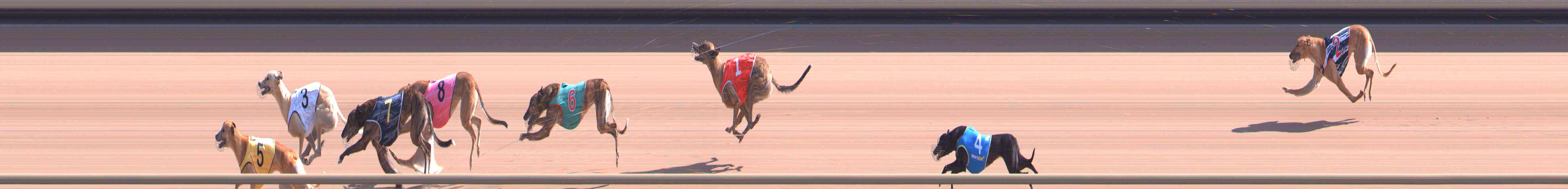 Photo finish for Healesville Race 6