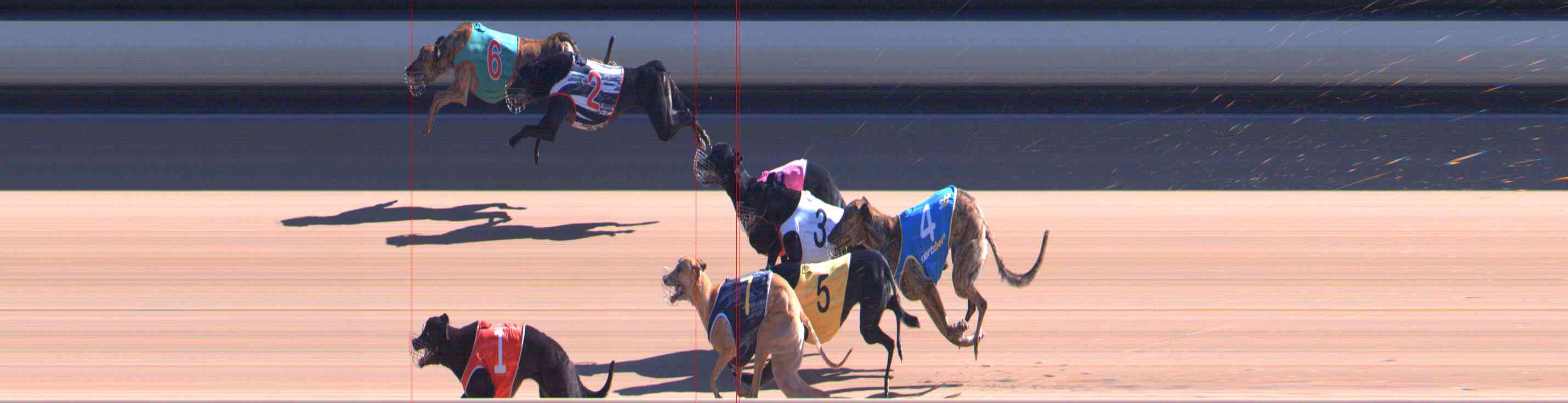 Photo finish for Healesville Race 7