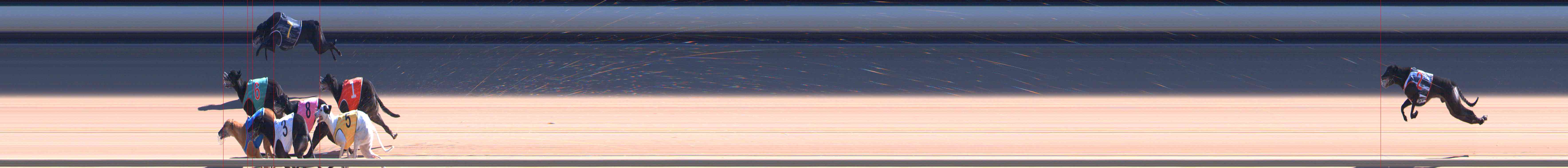 Photo finish for Healesville Race 8