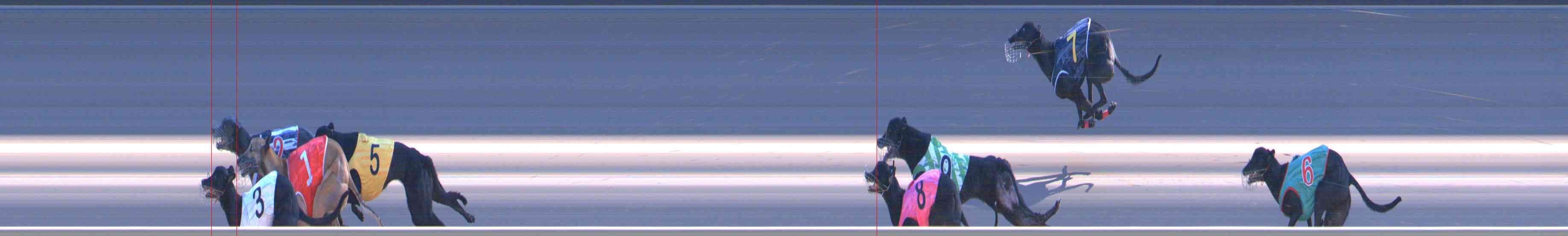 Photo finish for Healesville Race 10