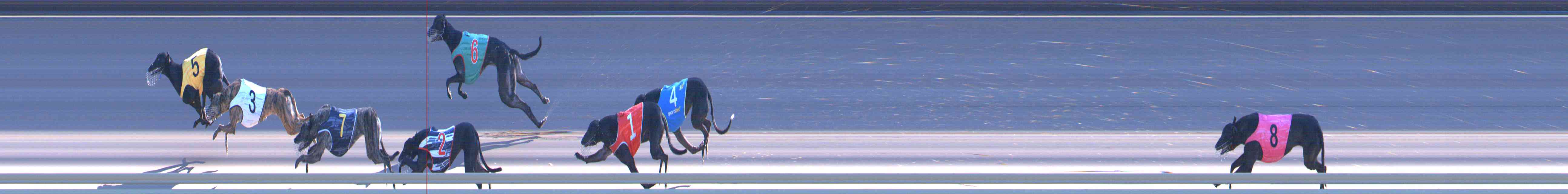 Photo finish for Healesville Race 11