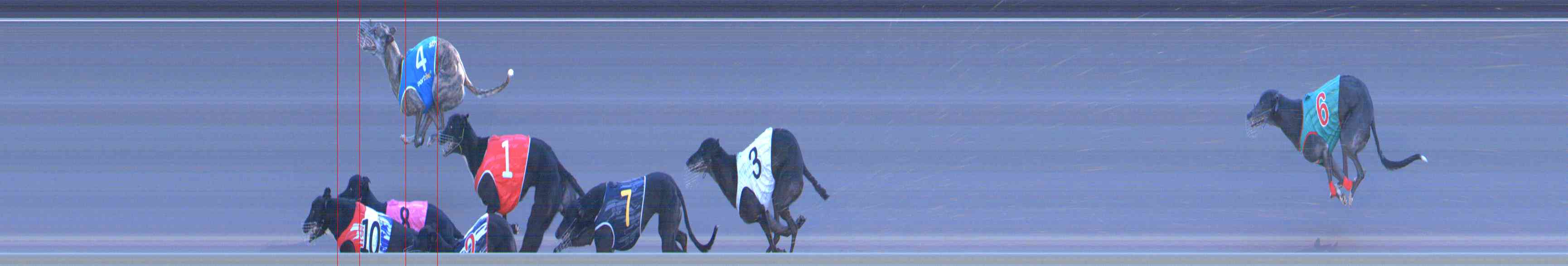 Photo finish for Healesville Race 12