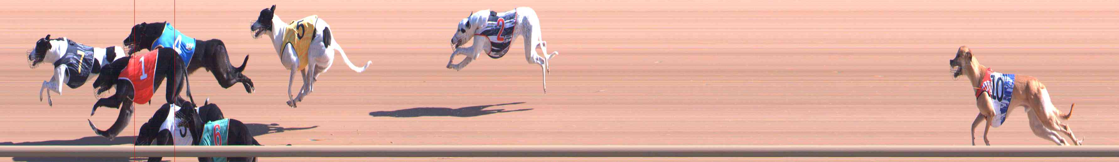 Photo finish for Healesville Race 2