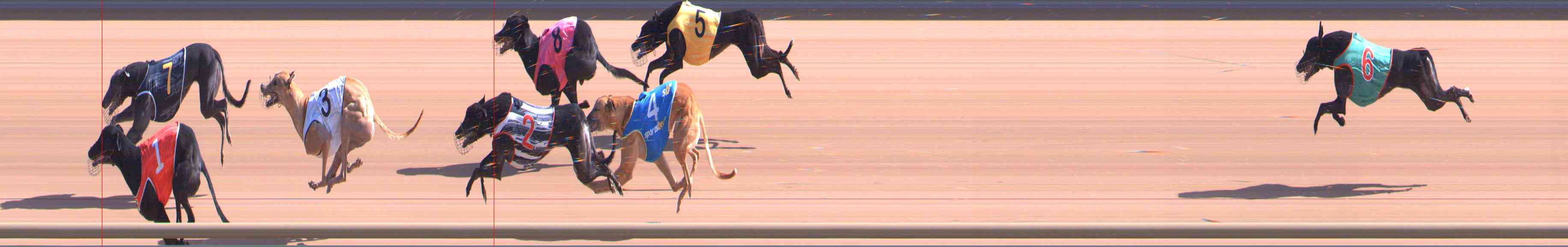 Photo finish for Healesville Race 3