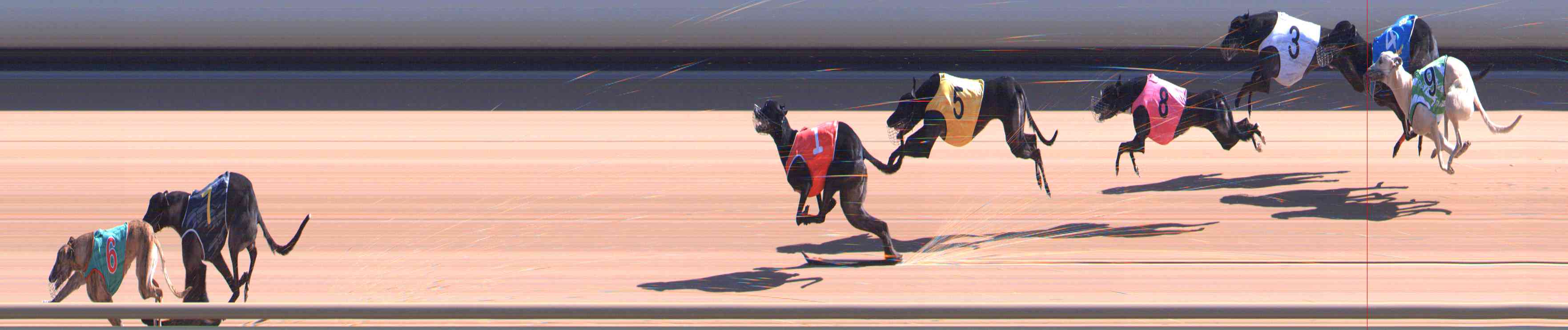 Photo finish for Healesville Race 4
