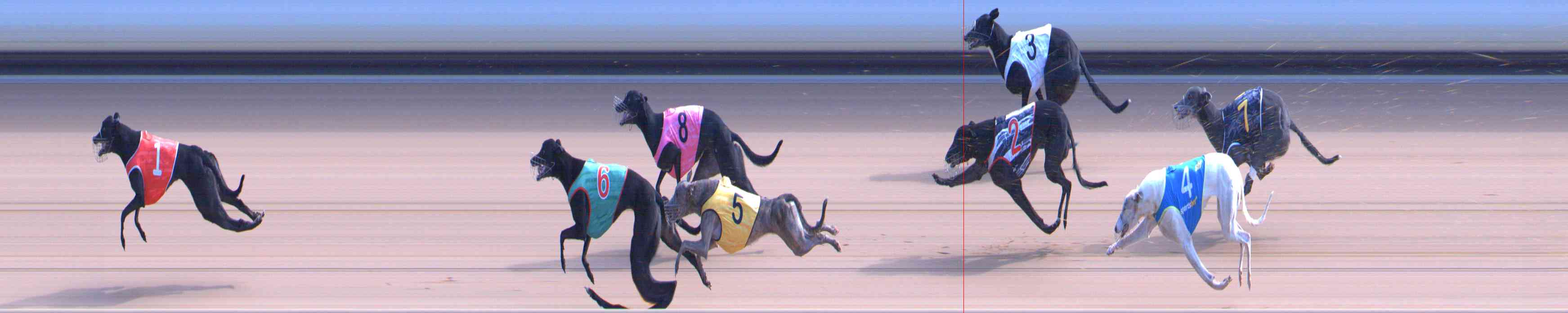 Photo finish for Healesville Race 5