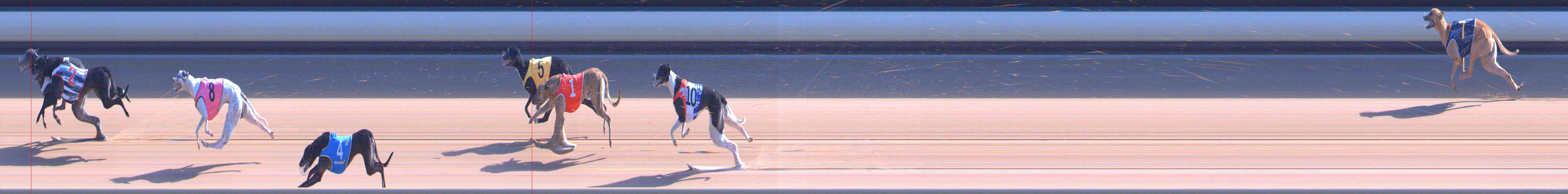 Photo finish for Healesville Race 6