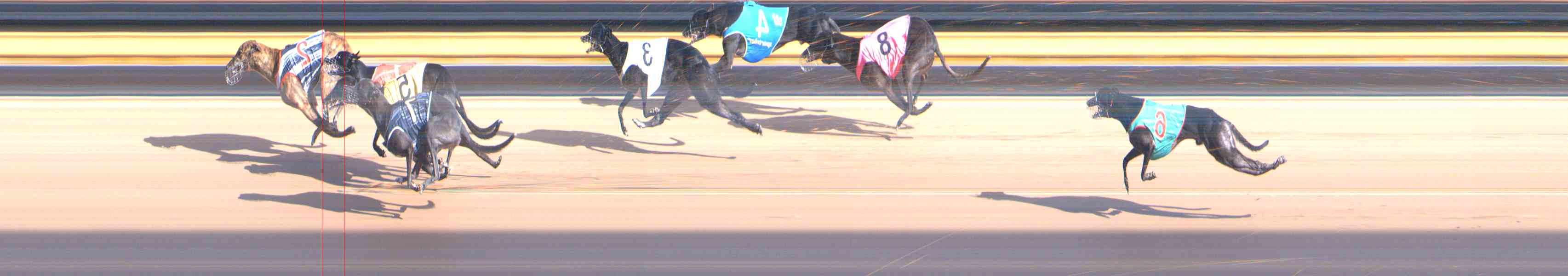 Photo finish for Healesville Race 7