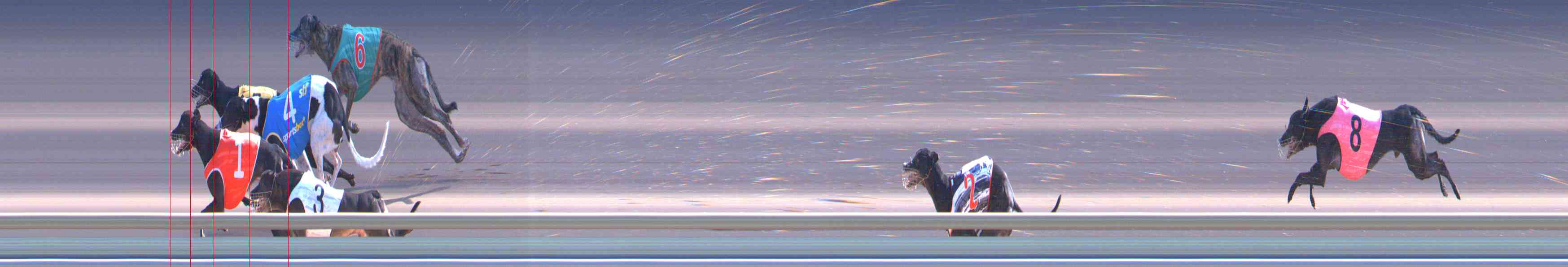 Photo finish for Healesville Race 8