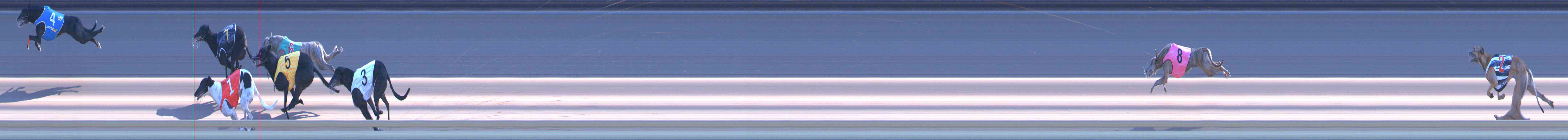 Photo finish for Healesville Race 9