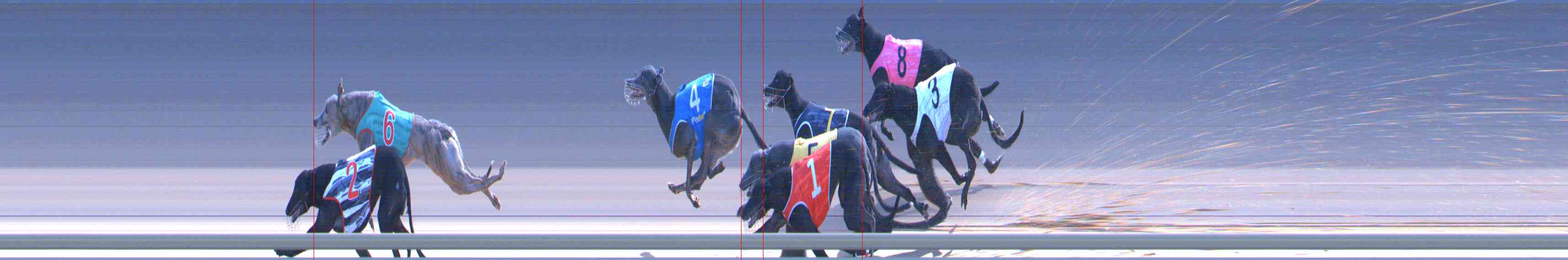 Photo finish for Healesville Race 10