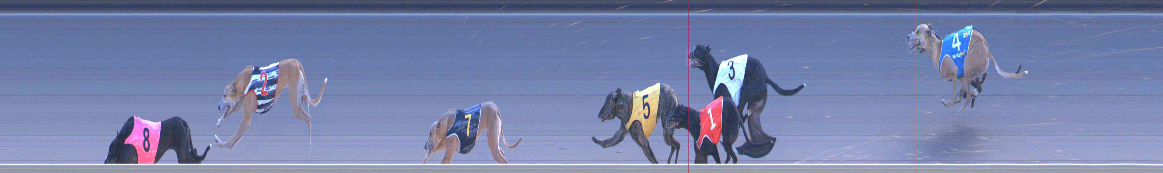 Photo finish for Healesville Race 11