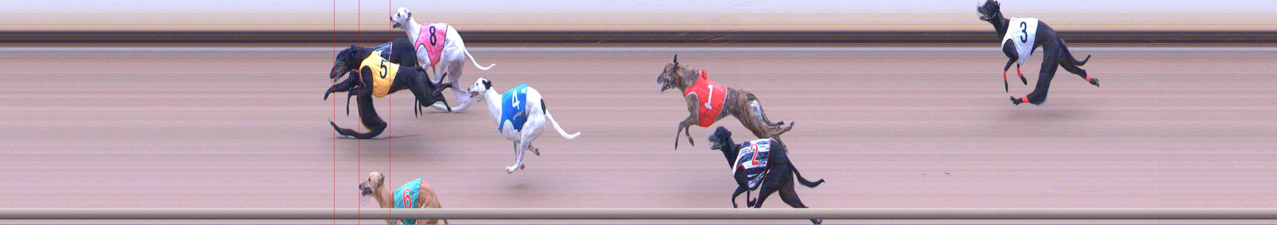 Photo finish for Healesville Race 1