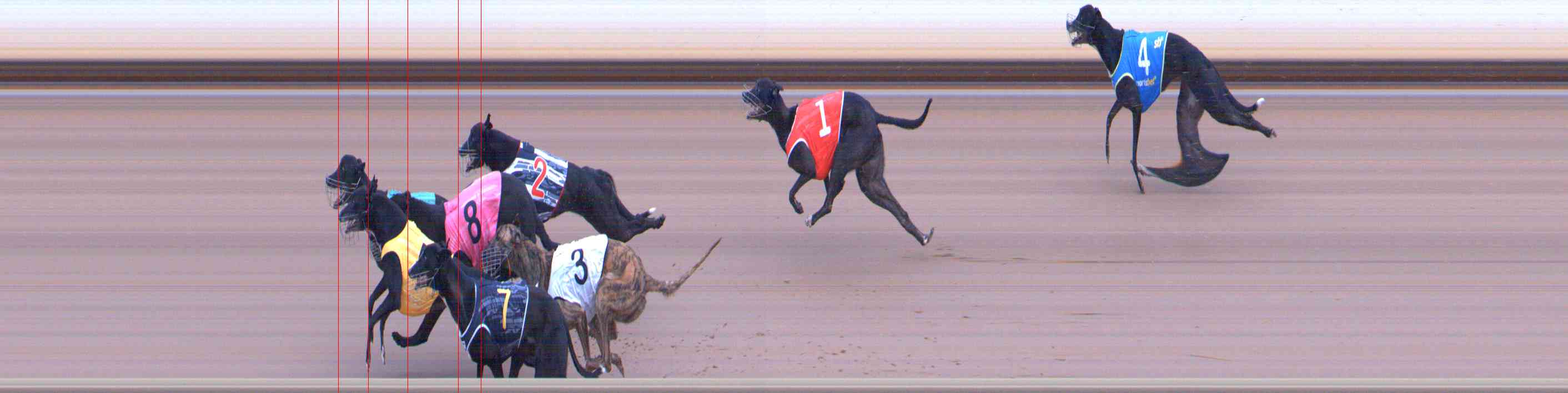 Photo finish for Healesville Race 2
