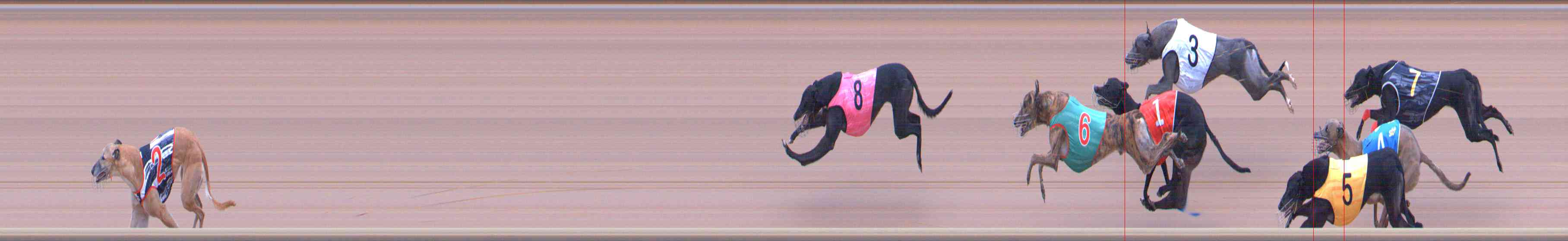 Photo finish for Healesville Race 3