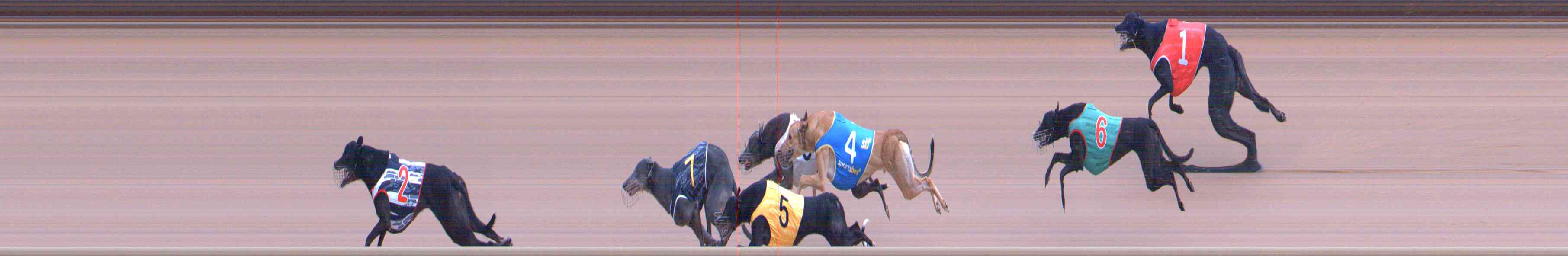 Photo finish for Healesville Race 4