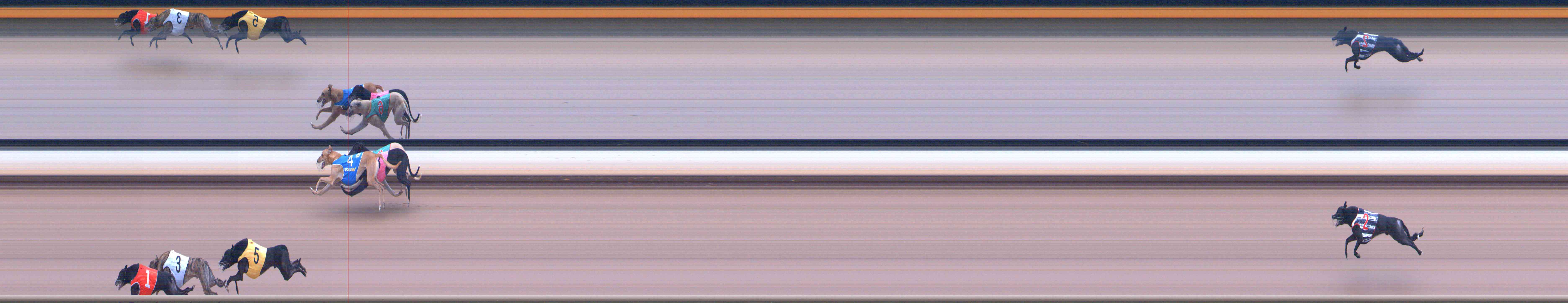 Photo finish for Healesville Race 5