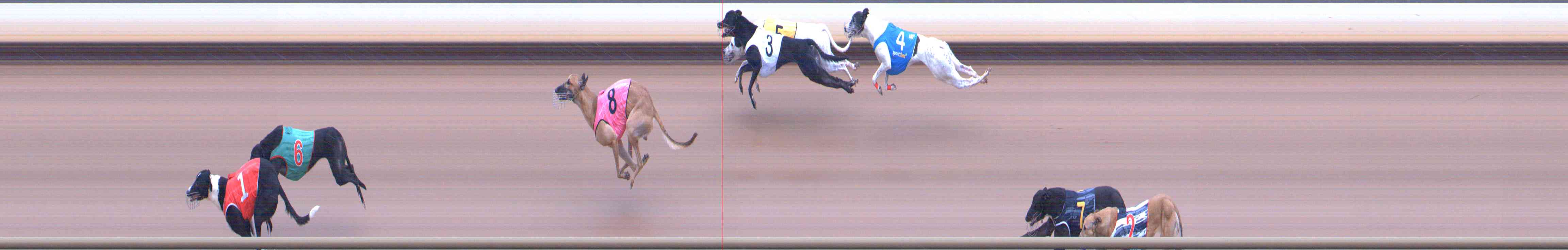 Photo finish for Healesville Race 6