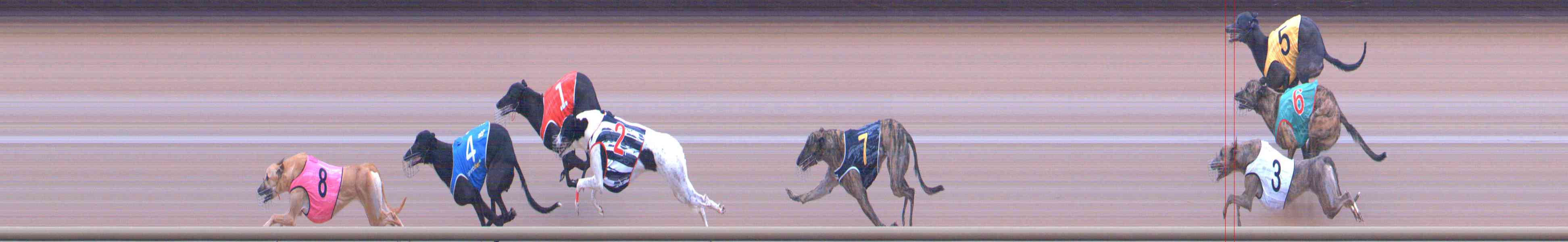 Photo finish for Healesville Race 7