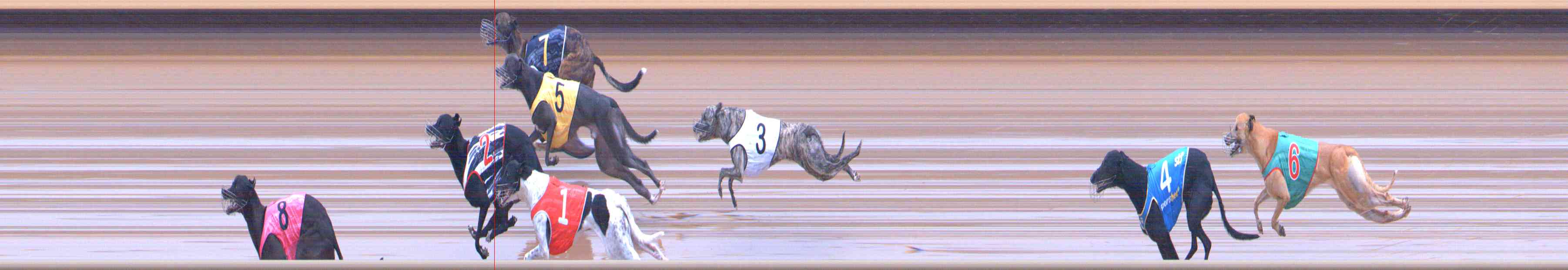 Photo finish for Healesville Race 8